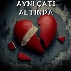 Aynı Çatı Altında