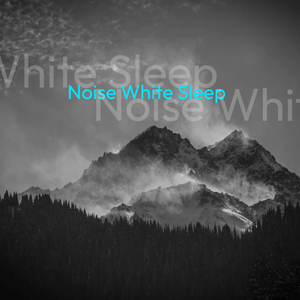 Noise White Sleep