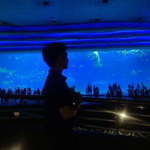 悲画扇（翻自 关家豪）