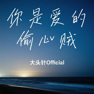 你是爱的偷心贼