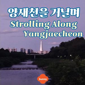 양재천을 거닐며