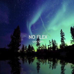 No Flex