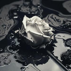 SYMPATHY