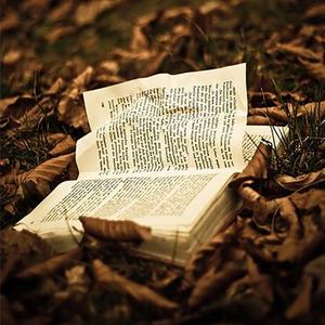 我的故事书里没有了你，也就没有了故事书