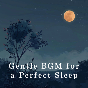 Midnight Silence in Solitude