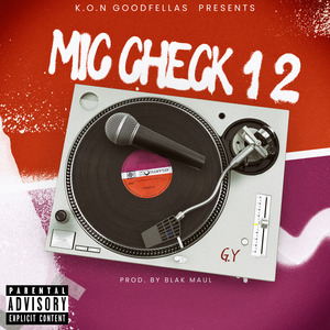 Mic Check 1 2