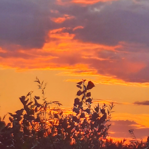 Ikuisuus paratiisissa