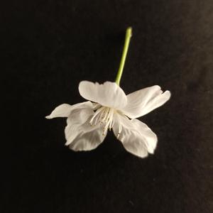 哪里都是你翻唱