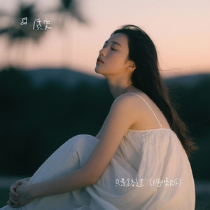 只是路过（烟嗓版）