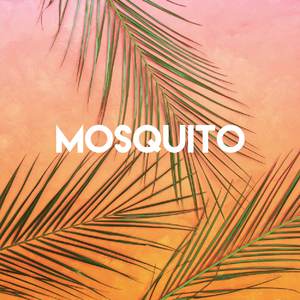 Mosquito