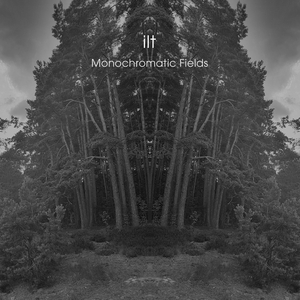 Monochromatic Fields