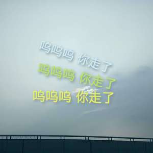 呜呜呜 你走了