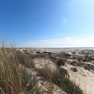 Stille