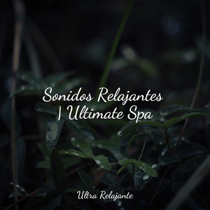 Desintoxicar el Cuerpo