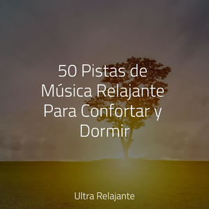 No Te Preocupes