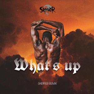 4 Non Blondes-What's Up（Skipper remix）