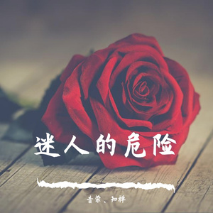 迷人的危险(年少版)