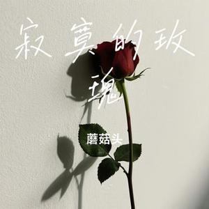 寂寞的玫瑰