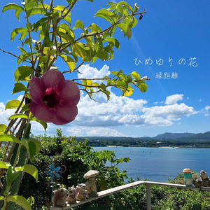ひめゆりの花 (Instrumental)