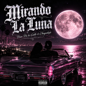 Mirando la Luna