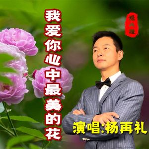 我爱你心中最美的花