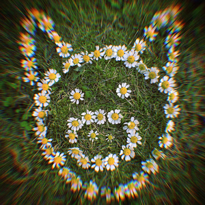 Свинья