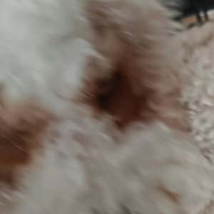 你是我恒久的晴朗 ✧