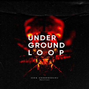 Section (Original Mix)