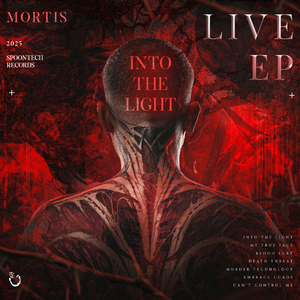 Into The Light (Live Edit)