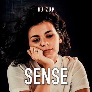 Sense (feat. DJ Zup)