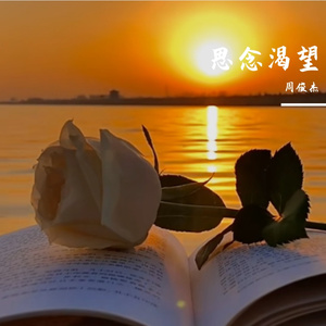 思念渴望 伴奏