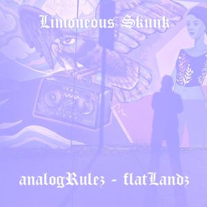 analogRulez (flatLandz)