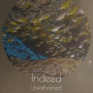 Sunlight Soulfulness