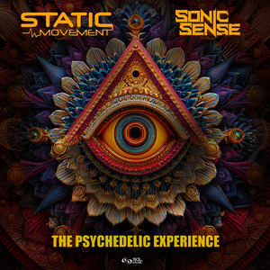 The Psychedelic Experience