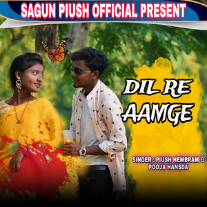 Dil Re Aamge