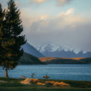 雨季的第六个沉默