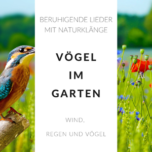 Vögel im Garten