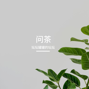 问茶