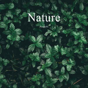 Natural Magic (Instrumental)