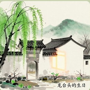 龙台头的生日.wav