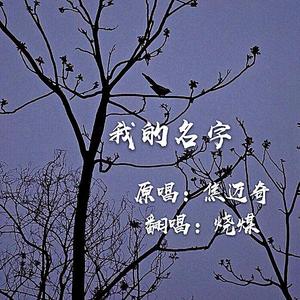 我的名字