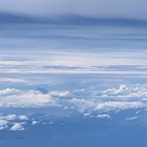 Loving Strangers （翻自 Jocelyn Pook/Russian Red）