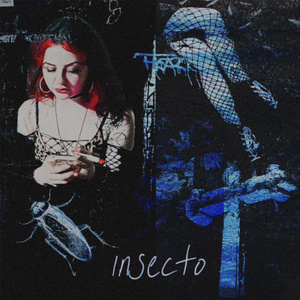 INSECTO