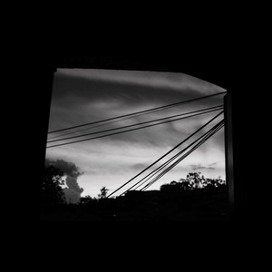 The Window