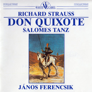 Don Quixote, Op. 35, TrV 184:Variation 4: Das Abenteur mit der Prozession von Bussern -