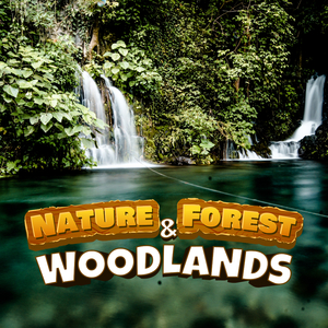 Sneaking Into The Forest (Night Vibes)