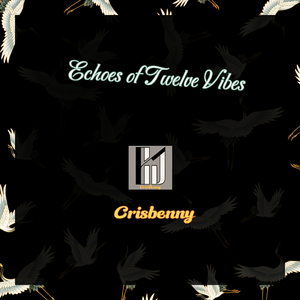 Echoes of Twelve Vibes
