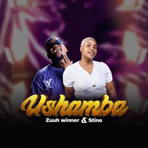 Ushamba (feat. Stinotz)