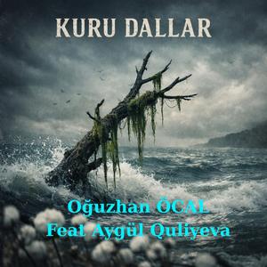 Kuru Dallar