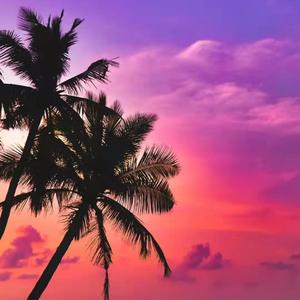 Free/夏日の海风Rnb